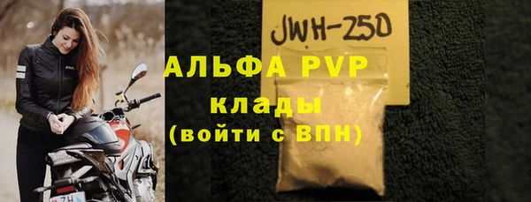 крисы Касимов