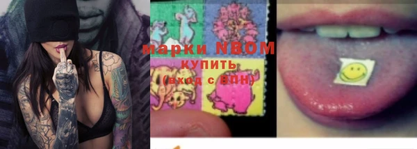 крисы Касимов