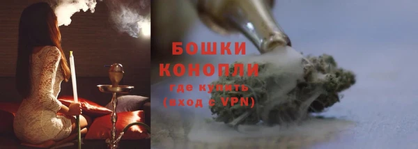 крисы Касимов