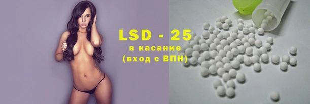 крисы Касимов