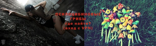 СК Карпинск
