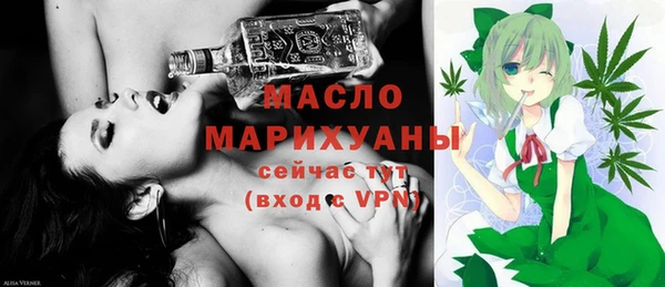 индика Щучье