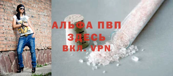 индика Щучье